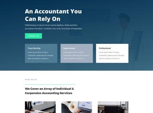 Accountant