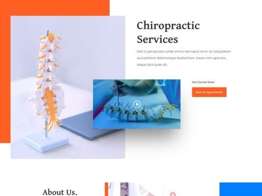 Chiropractor