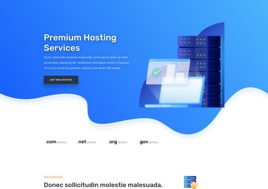 Hosting Company