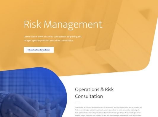 Risk Management